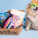 Caja Barbox para tu perro.